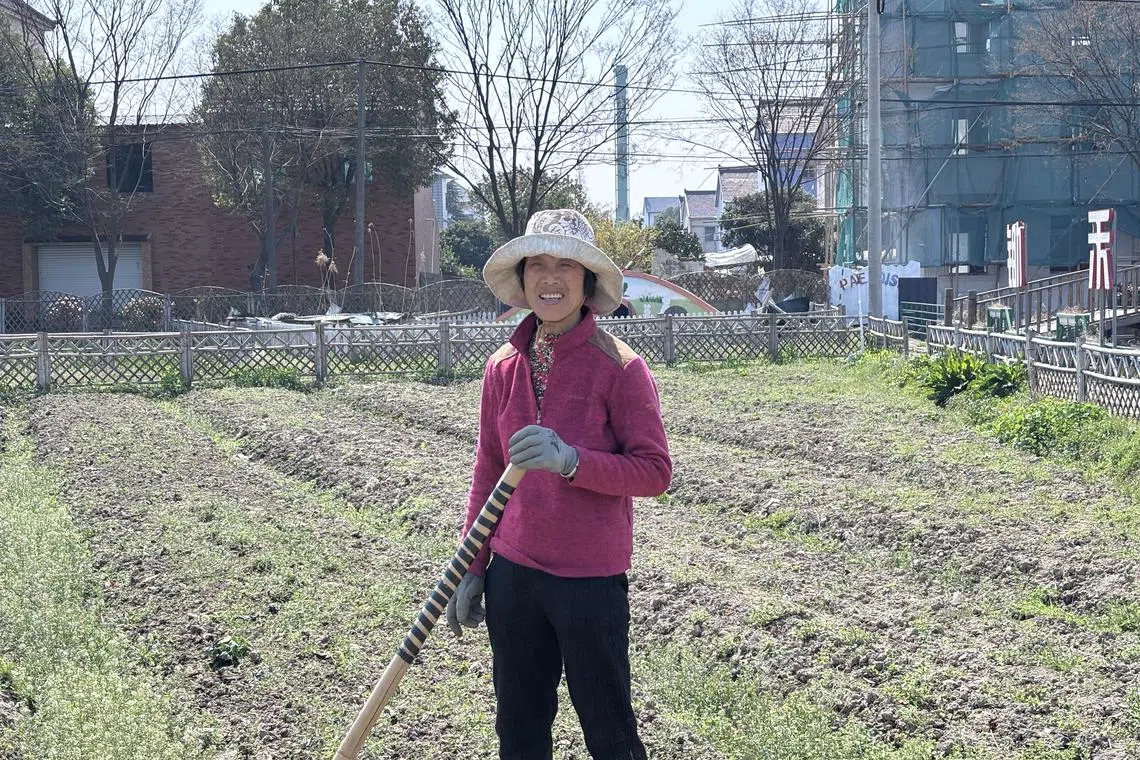 秦核农场内，村民正在田间劳作。（黎康摄）