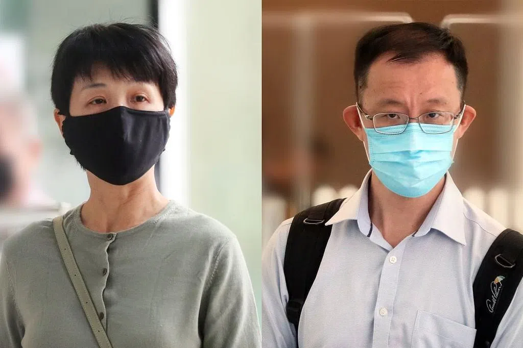 克兰芝林地违规砍伐 裕廊集团两高管认罪