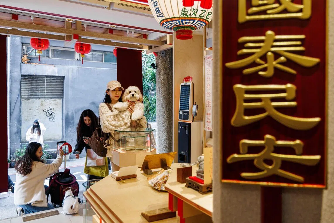 一只小狗和它的主人在向保生大帝祈福。（法新社）