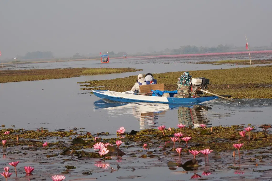 天色渐渐亮了，四处生机盎然。（梁金菊摄）
