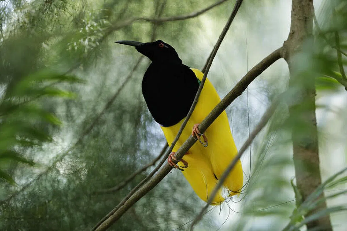 （万态保育集团提供）