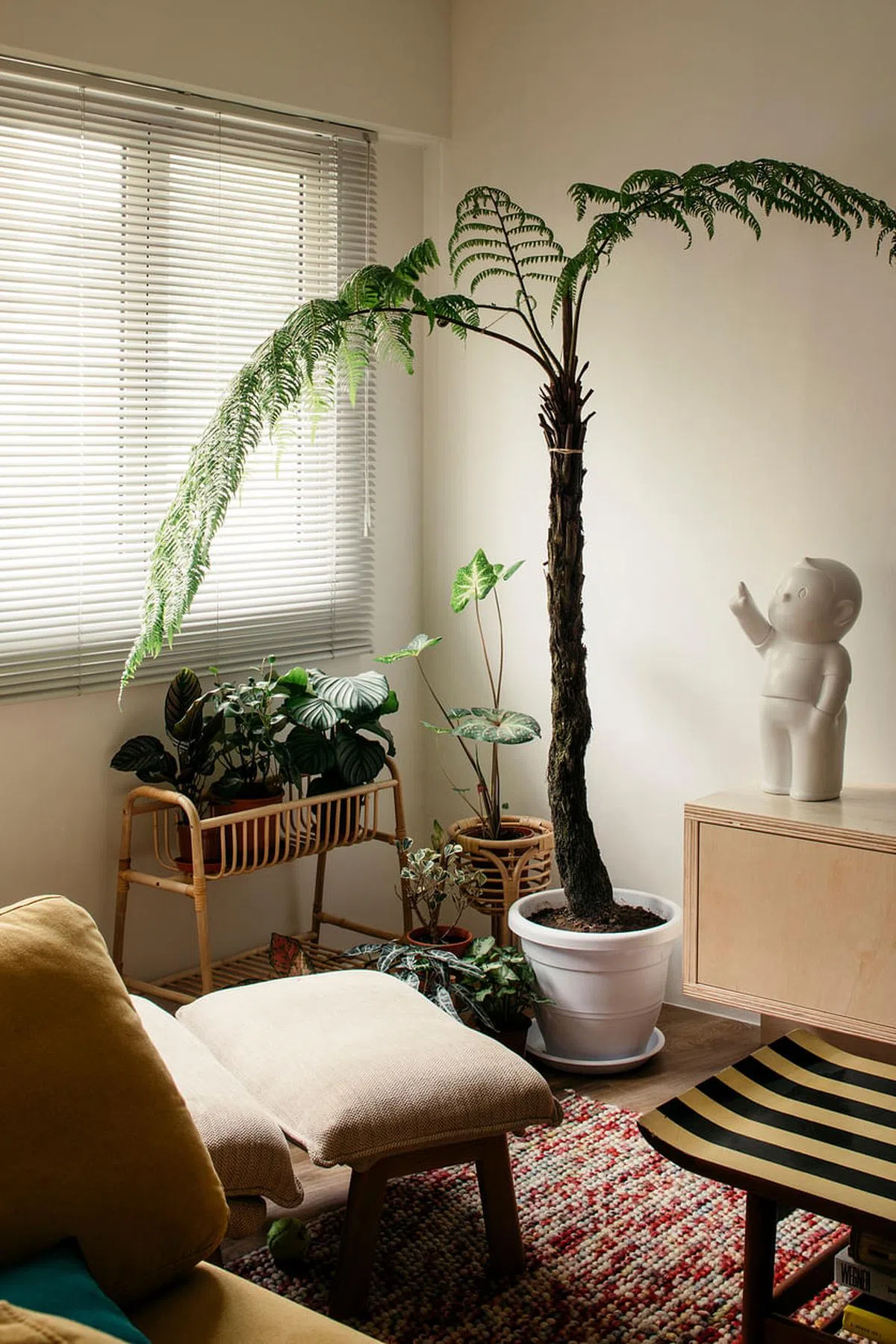 室内植物为浅色系家居带来生气。