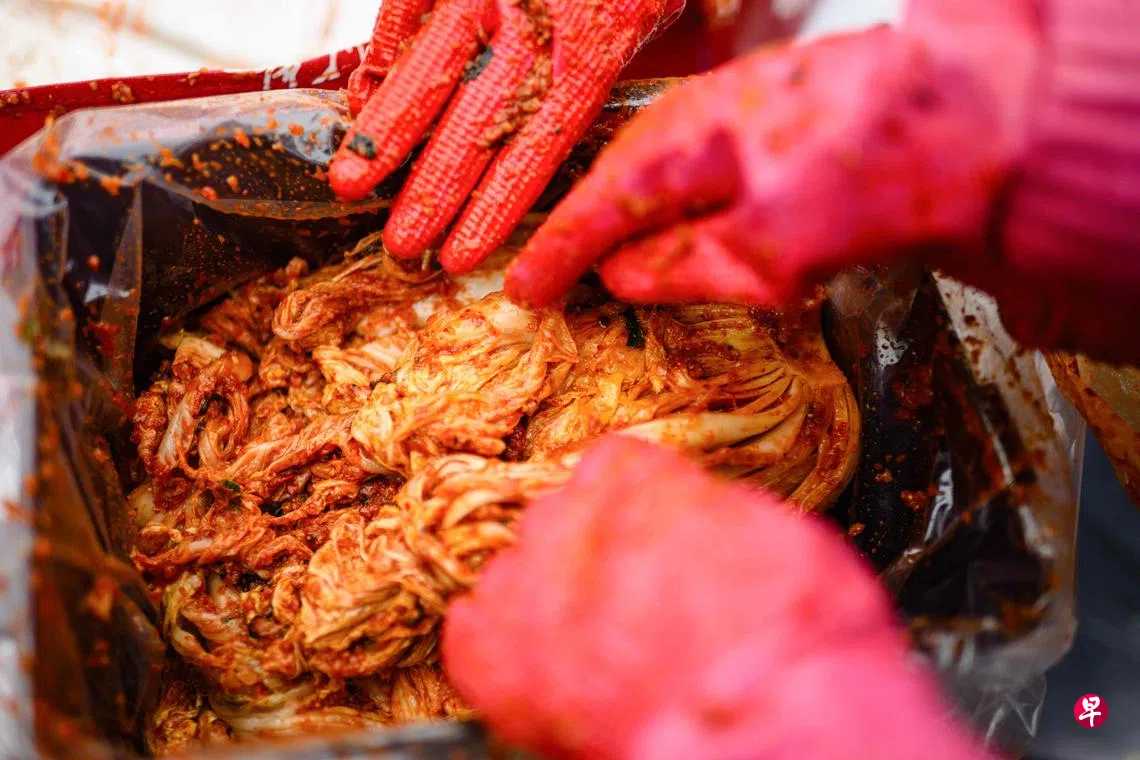 韩国泡菜去年出口量和出口额双双创新高| 联合早报