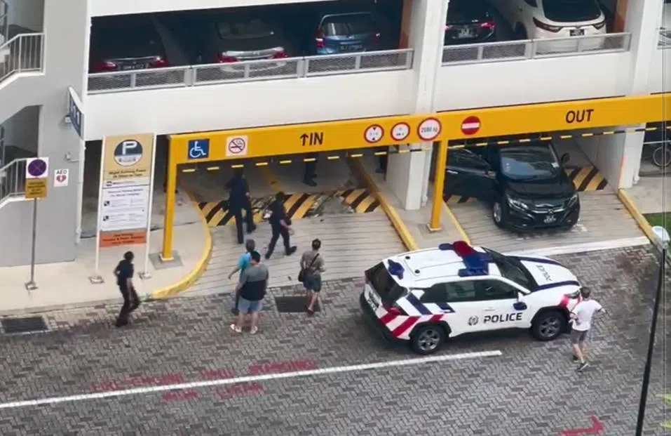 不少荷枪实弹的警员随后赶到，联手制伏了持刀伤人的男子。（读者视频截图）