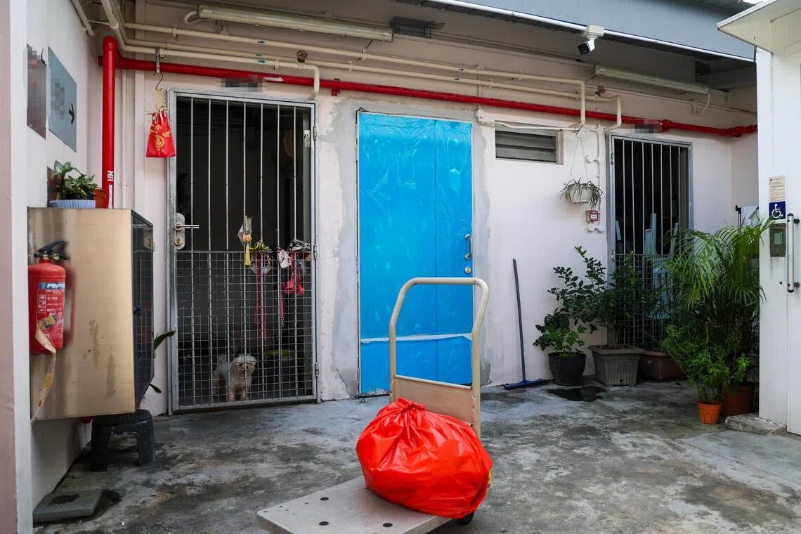 动物福利团体和收容者能以远低于商业租户的租金，在“动物之家”租下场地，照看动物。动物热爱者协会此前租用10个单位，去年底仅其中八个获续约至今年8月，如今已全部到期。记者12月8日走访时观察到，仍有不少动物安置在这些单位内。（林明顺摄）