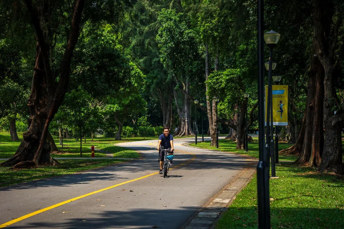 东海岸公园到市区的路线明确，新手骑士也不会迷路。（摄影 / 叶振忠）