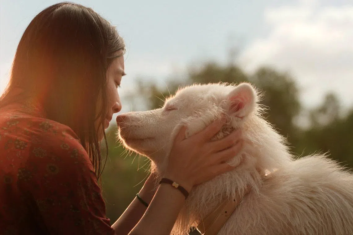 “Gohan”讲述由一只白色流浪狗串起的三个暖心故事。（嘉华院线提供）