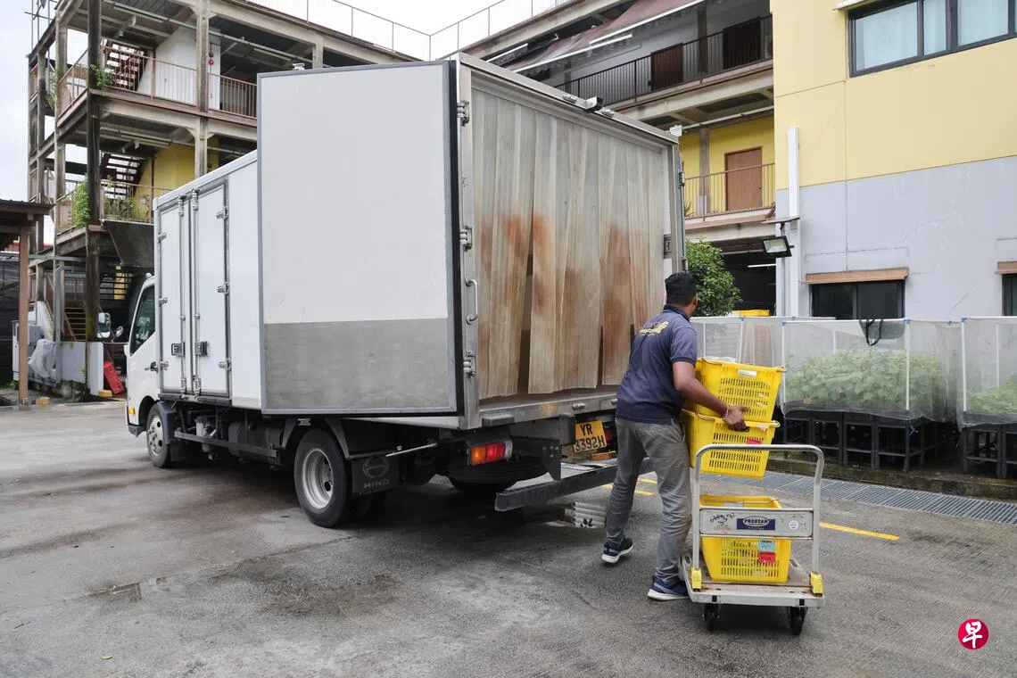 农夫市集货车明年启动集中载送本地蔬菜降低运输成本| 联合早报