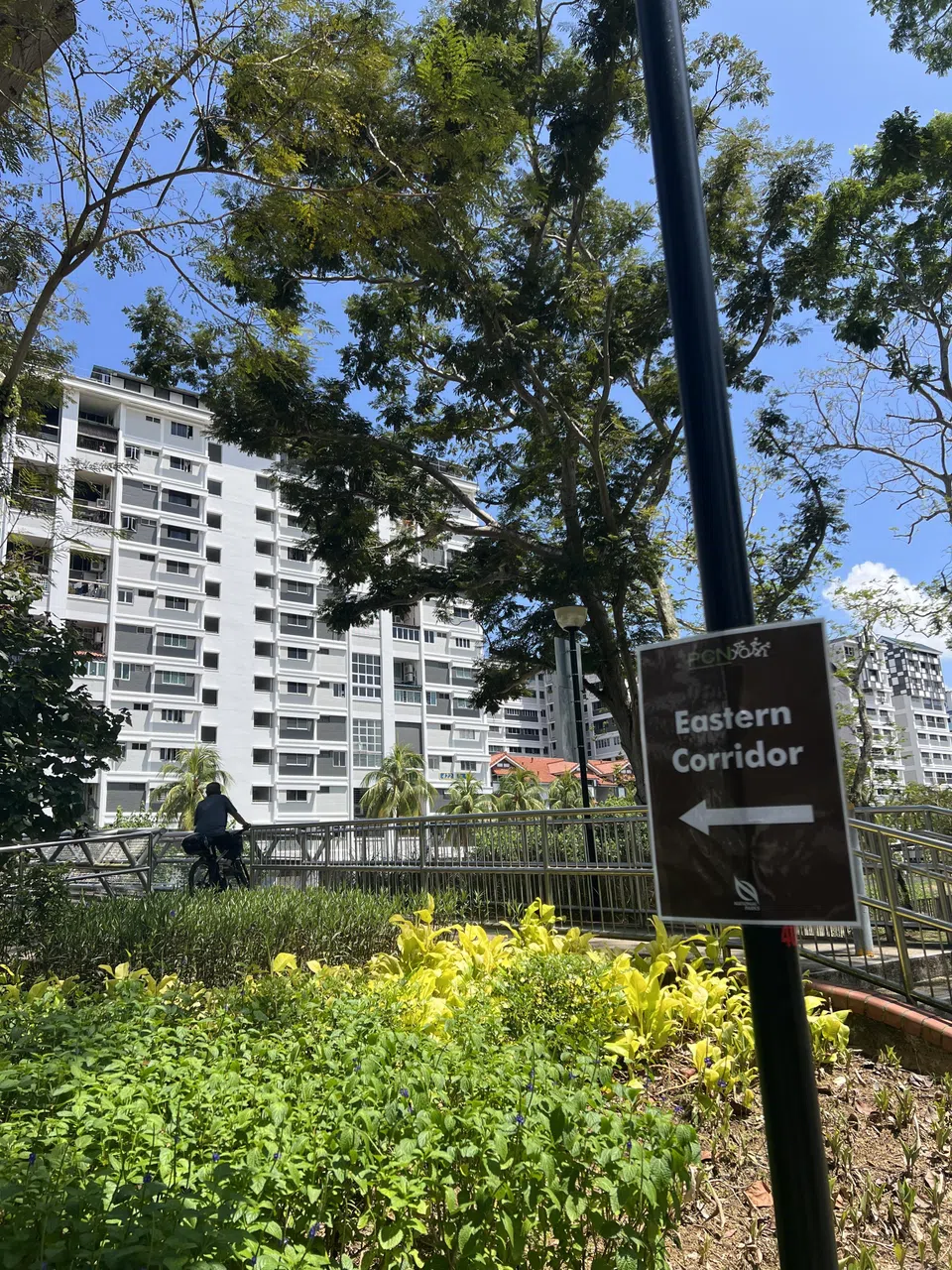 国家公园局在东部走廊沿途挂上褐色指引牌，为首次探访者带来便利。（杨全龙摄）