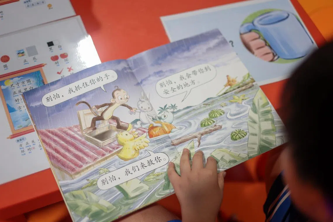 小学阅读计划使用的小图书根据华文课程的生字单编写，通过有趣的故事帮助学生巩固所学，培养他们的阅读习惯。（张俊杰摄）