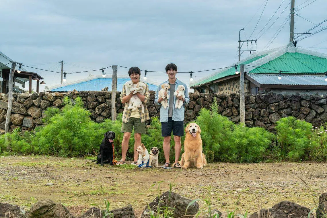 片中上演“出发一只狗，回来八只狗”的逗趣情节。（嘉华提供）