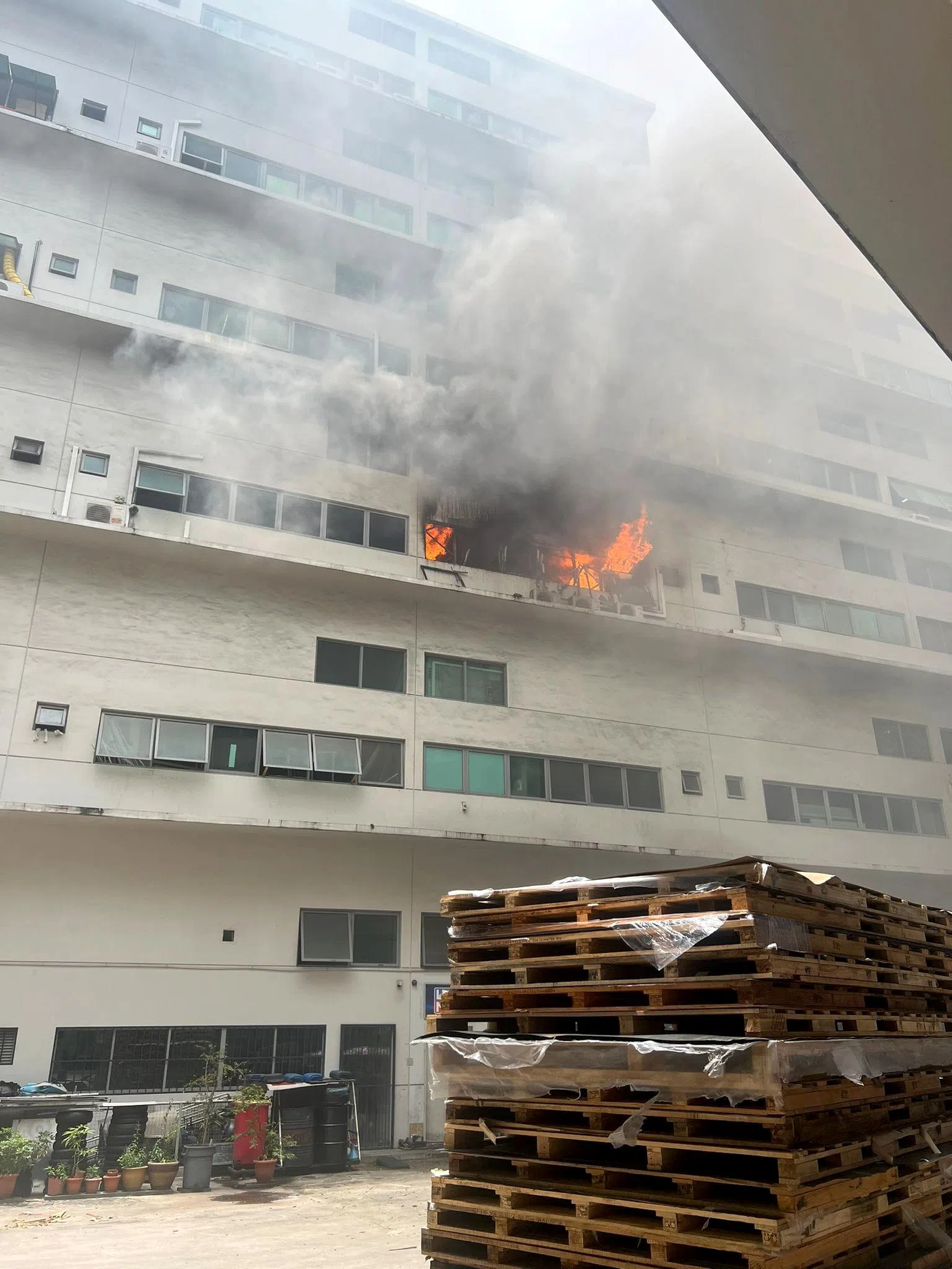 失火单位浓烟滚滚，火舌通过窗口窜出，火警警铃大作，并伴随着几声爆炸声。（新加坡民防部队脸书）