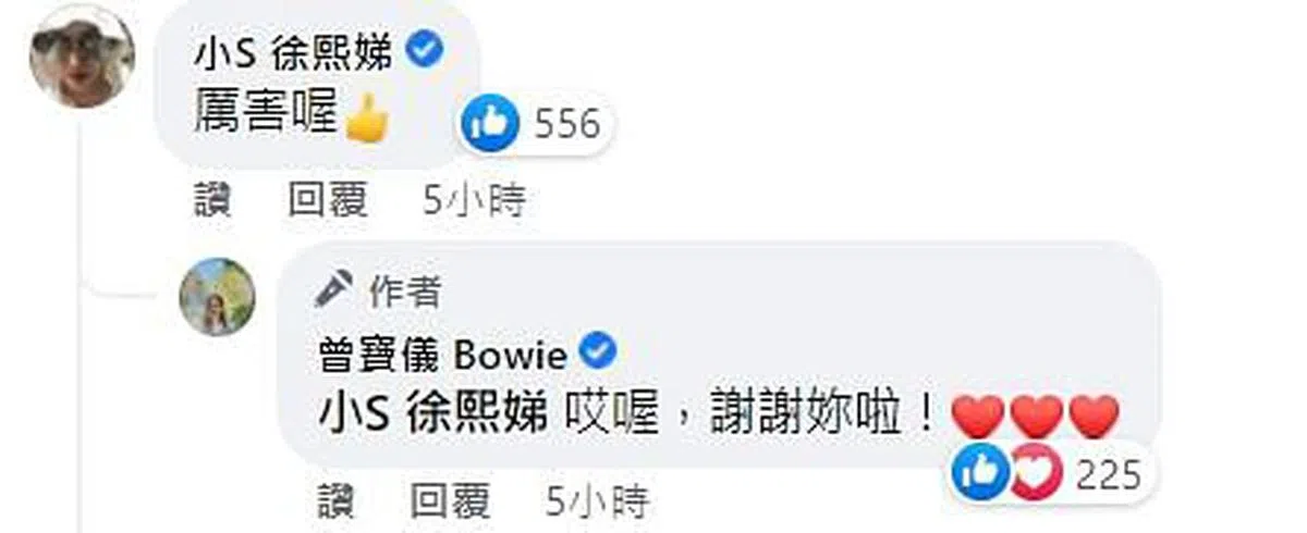 小S与曾宝仪在脸书的互动，让网友疯狂兴奋。（互联网）