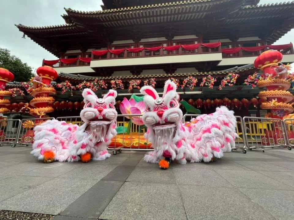 本地舞狮团在2023年推出兔子形象的狮头。（档案照片 / 取自新加坡南仙龙狮体育会脸书）