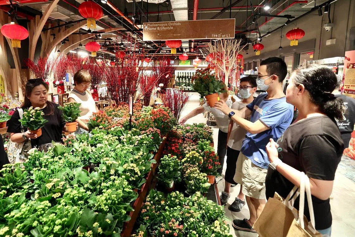 年花消费者当中有不少年轻人，他们多倾向于购买耐放、可长期观赏的植物。（陈斌勤摄）