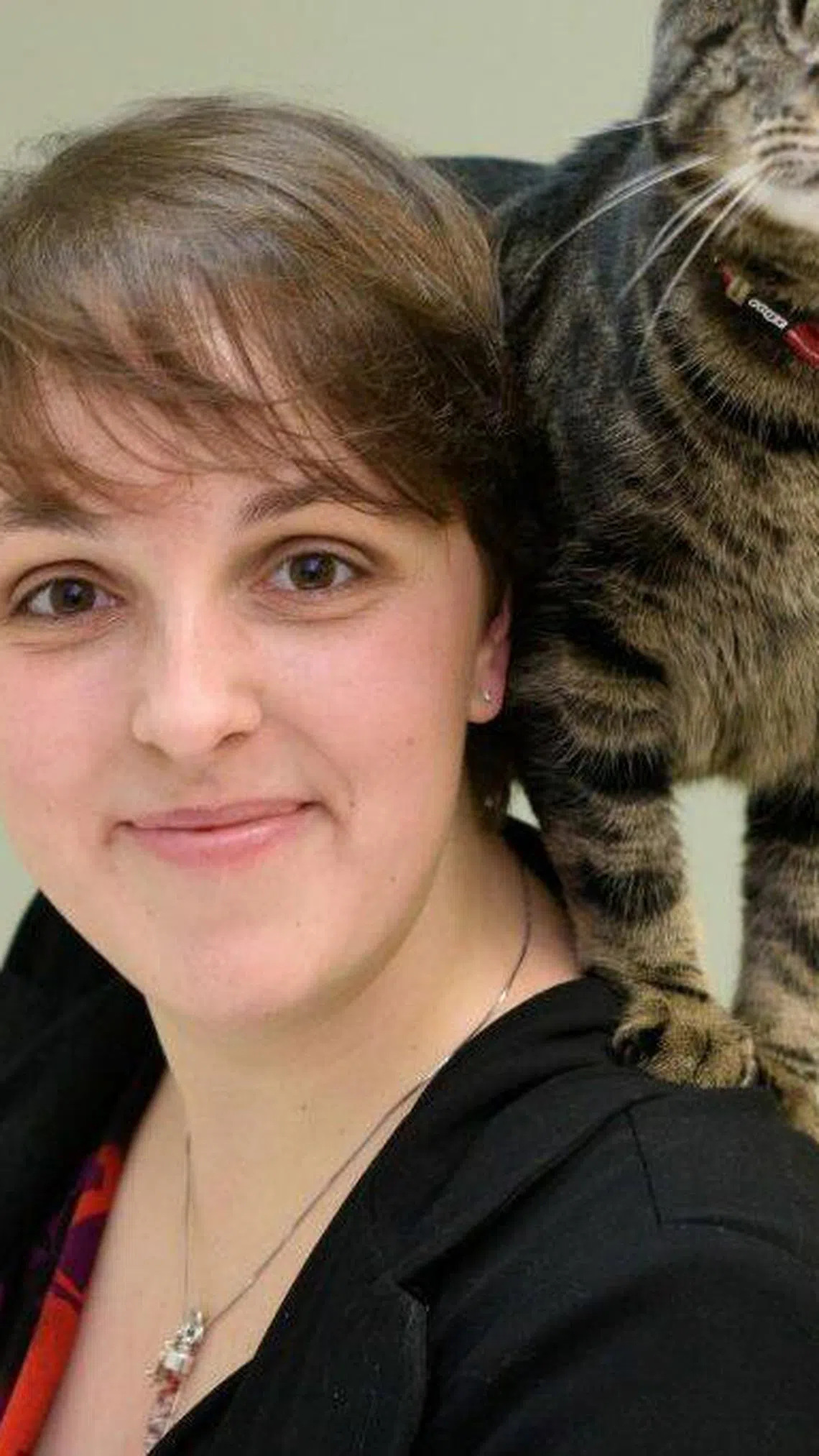 凯特琳：远行前，兽医会检查猫的健康状况，确定是否适合使用镇静剂。（受访者提供）