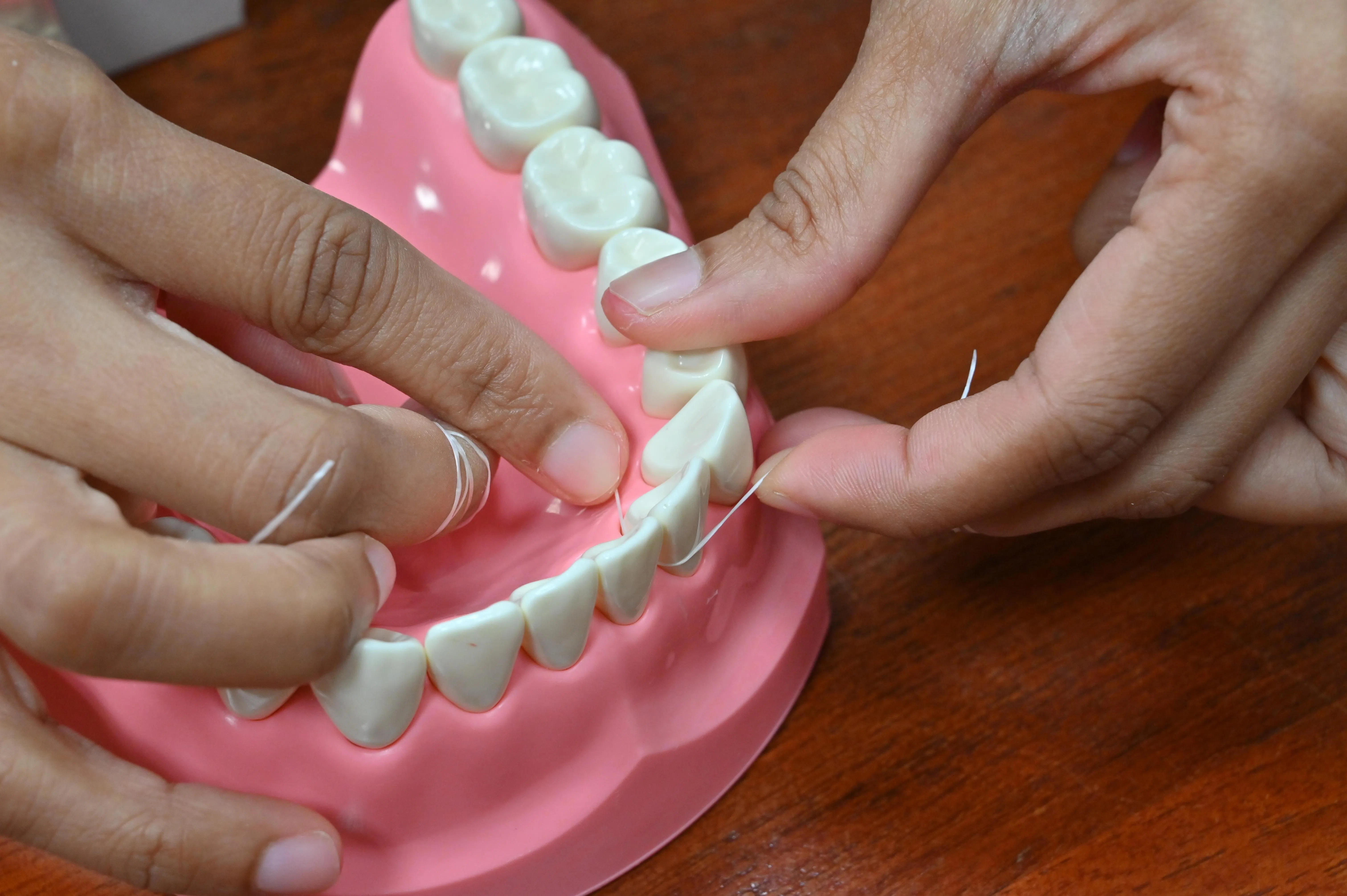 要灵活运用牙线，可先把牙线两端分别缠绕在双手中指的第二指节，并确保牙线呈现绷紧状态。（档案图）