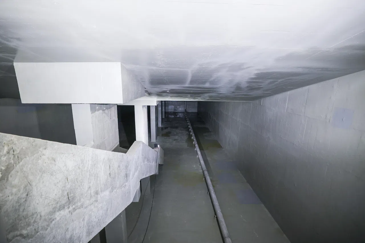 水箱的总容量相当于三个奥林匹克游泳池，上方是比达达利公园的一部分。（白艳琳摄）