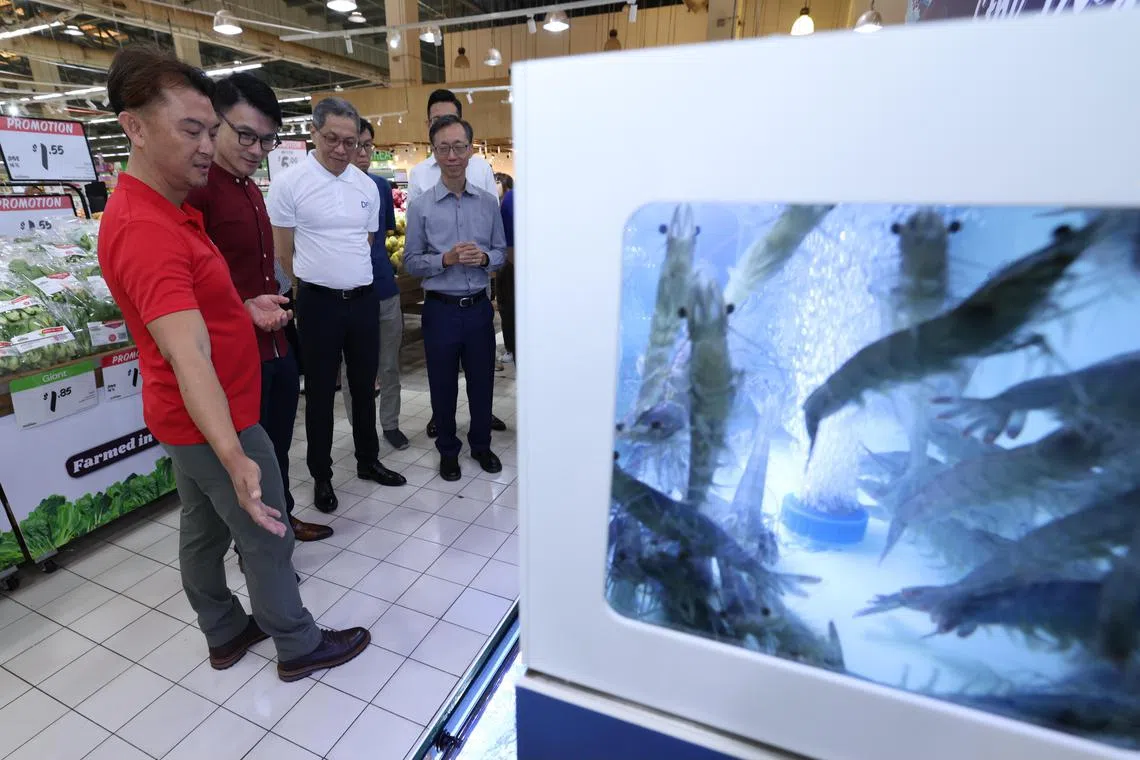 淡滨尼集选区议员马炎庆（左二）说，希望本土食品在超市的能见度更高，消费者可以更容易购买，予以支持。（梁麒麟）
