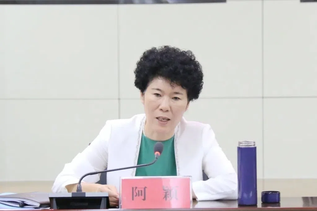 通过民间借贷获大额回报 南阳原副市长阿颖被开除公职
