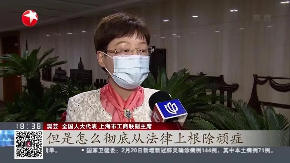 上海代表团将在下月举行的中国“两会”上，针对妇女儿童拐卖提出议案，推进相关立法修法。（视频截图）