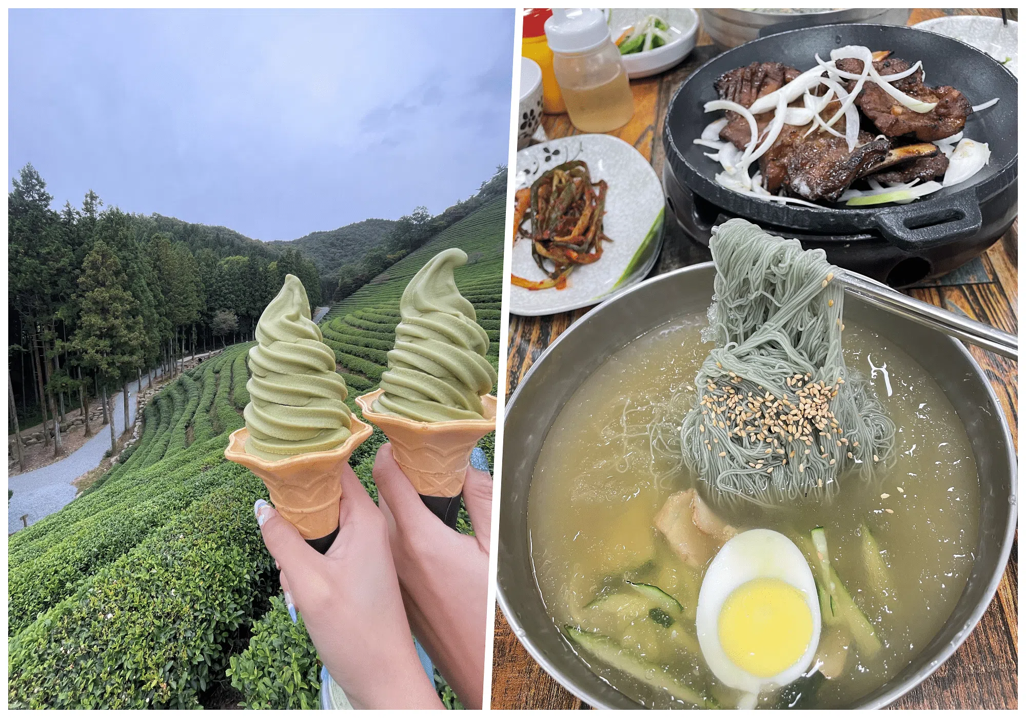 来到宝城必吃绿茶冰淇淋、绿茶排骨及冷面（王昀诗摄）。