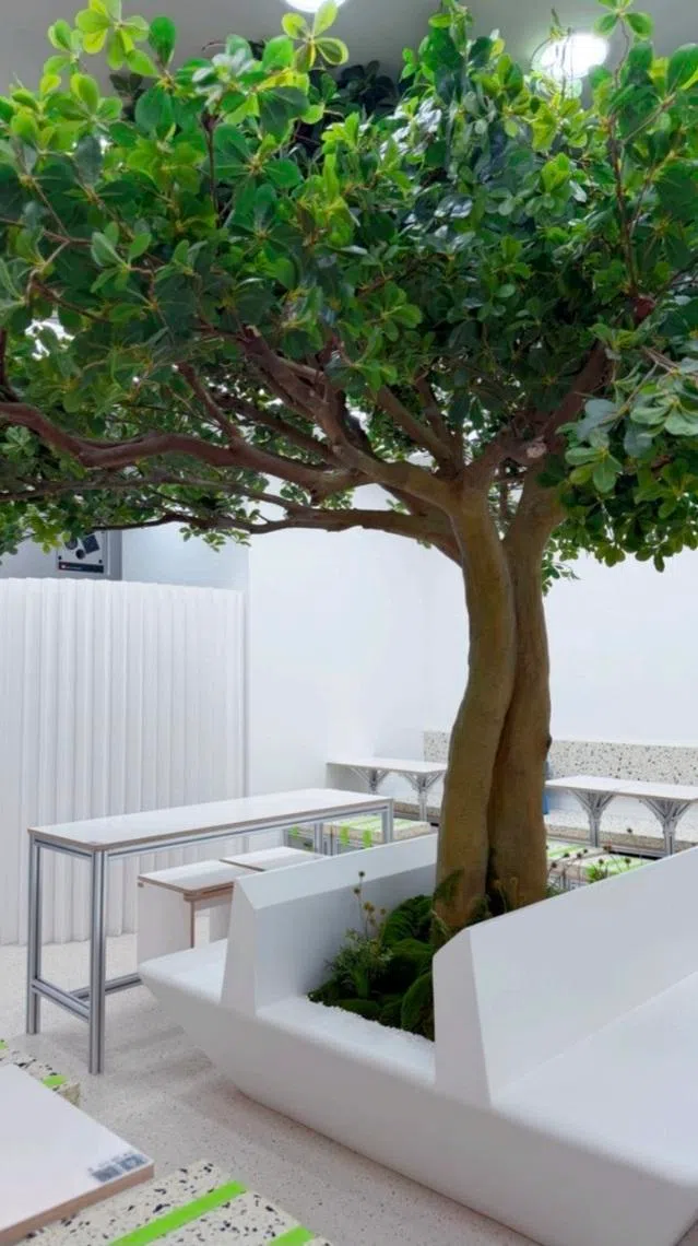 餐馆里的室内树营造置⾝公园的静谧感觉。（品牌提供）