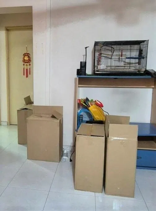 关税局人员逮捕电动脚踏车骑士后展开进一步调查，从附近一个组屋单位中搜出超过191条漏税香烟。（新加坡关税局提供）