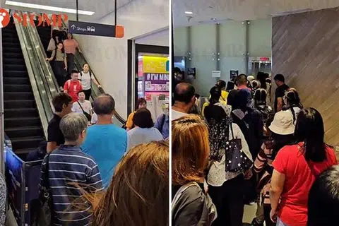 商场扶梯故障 公众大排长龙等电梯与保安起争执