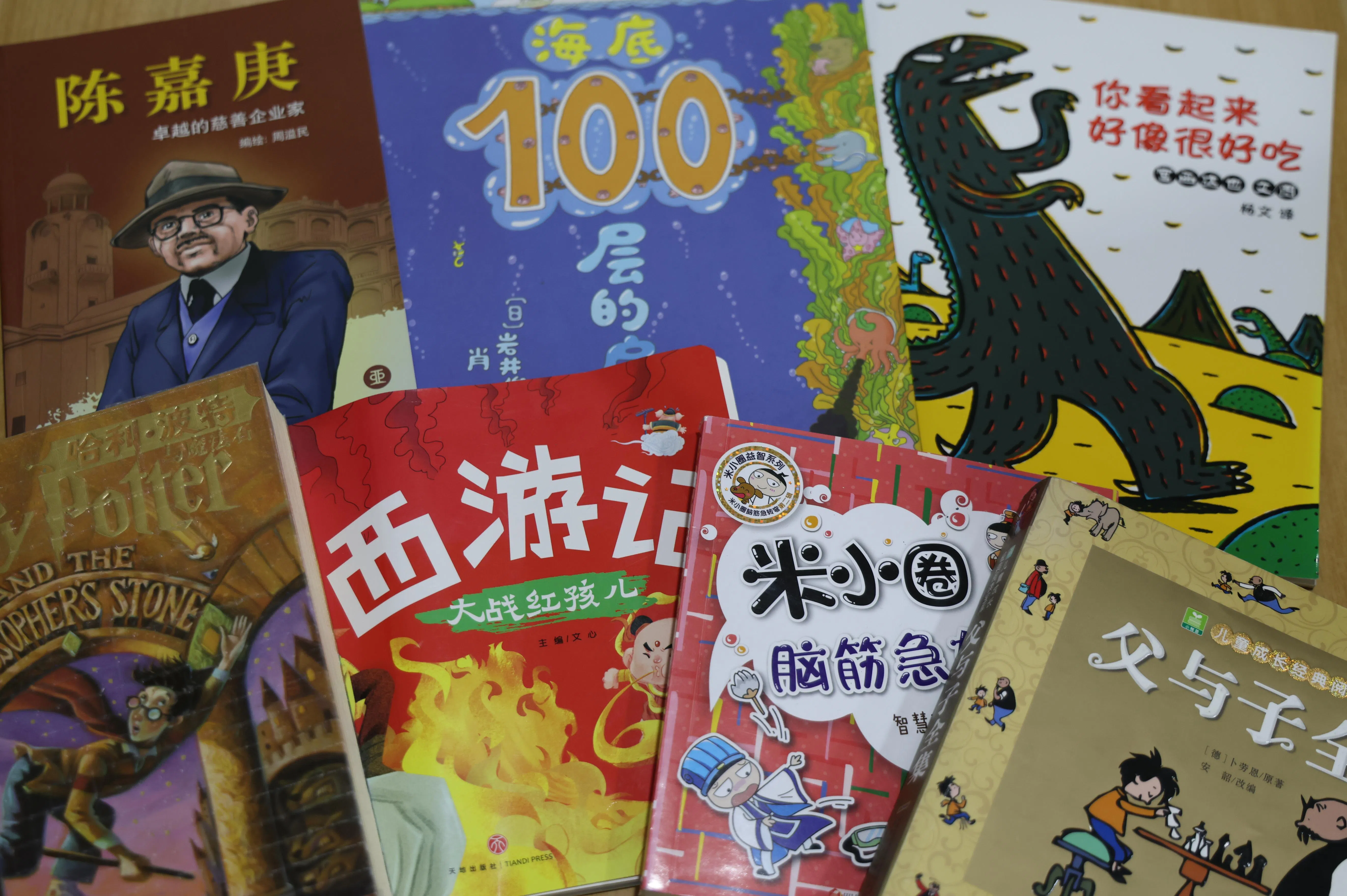 马伊凡推荐的华文书书单。（梁麒麟摄）