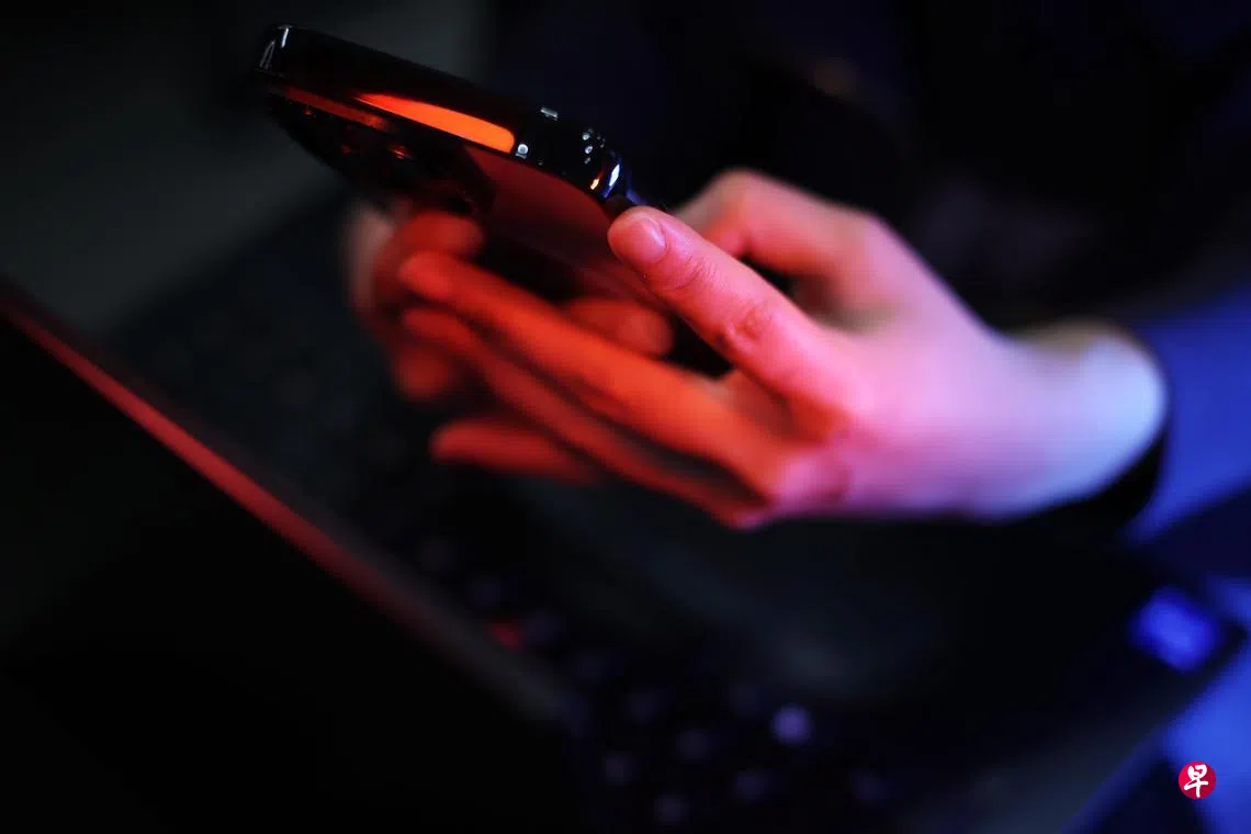 涉骗女子130万元换虚拟币23岁男子兀兰关卡被捕| 联合早报