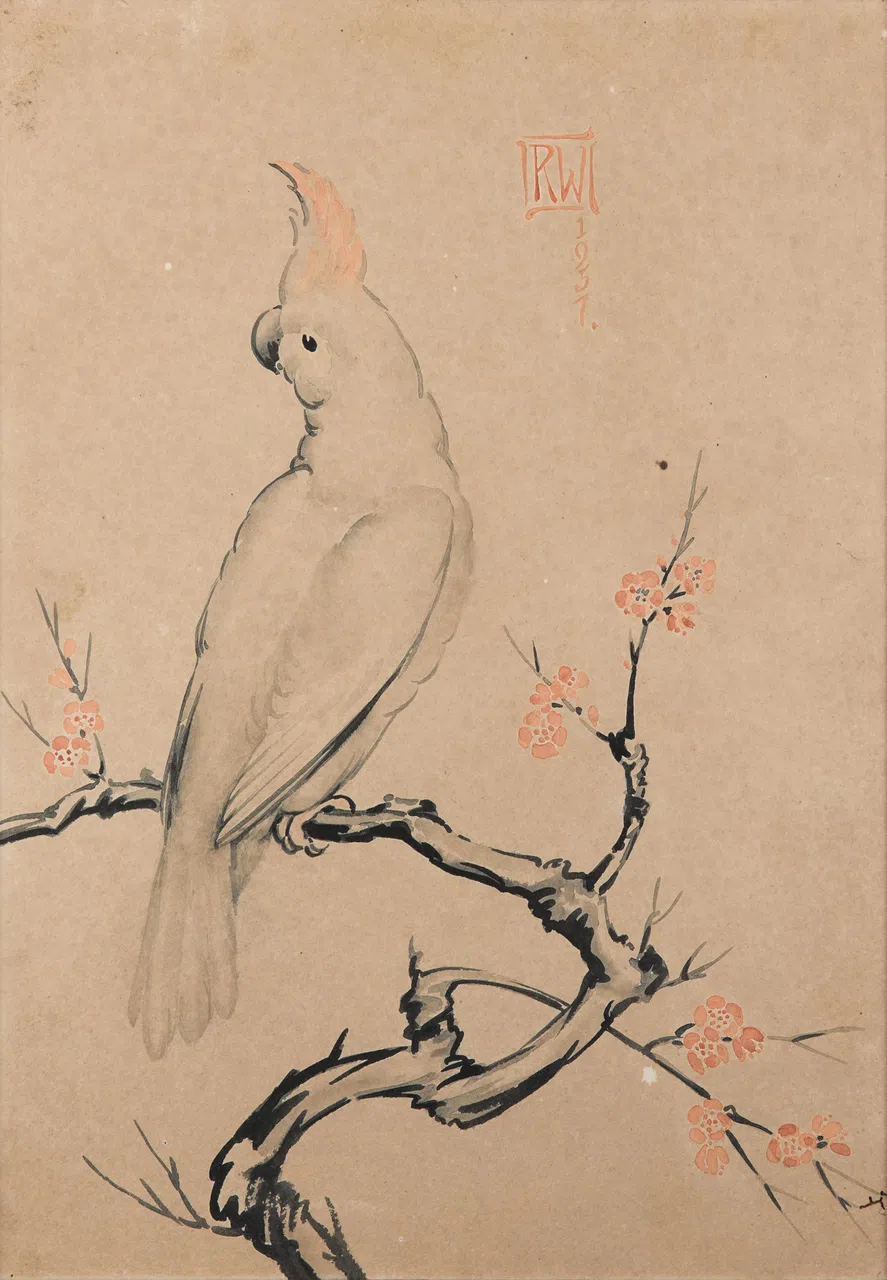 英国理查德·沃克作品《凤头鹦鹉》。（国家美术馆提供）