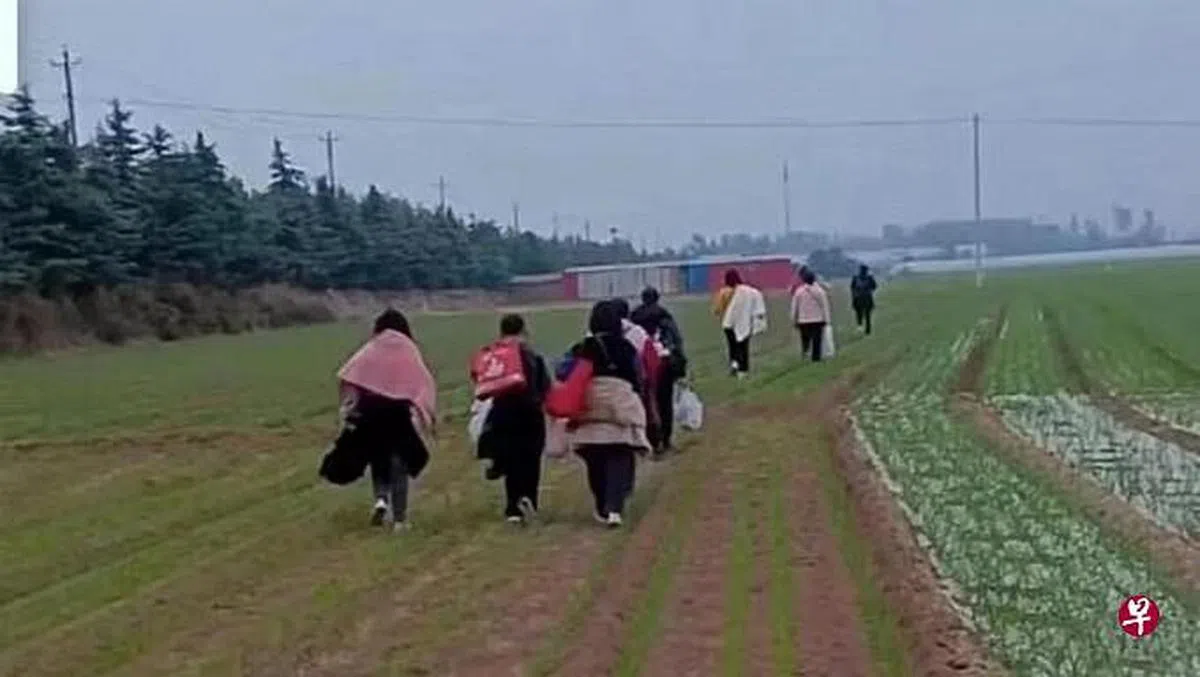 河南郑州富士康上个月发生“大逃疫”事件，大批工人拿着大包小包徒步返乡。（互联网）