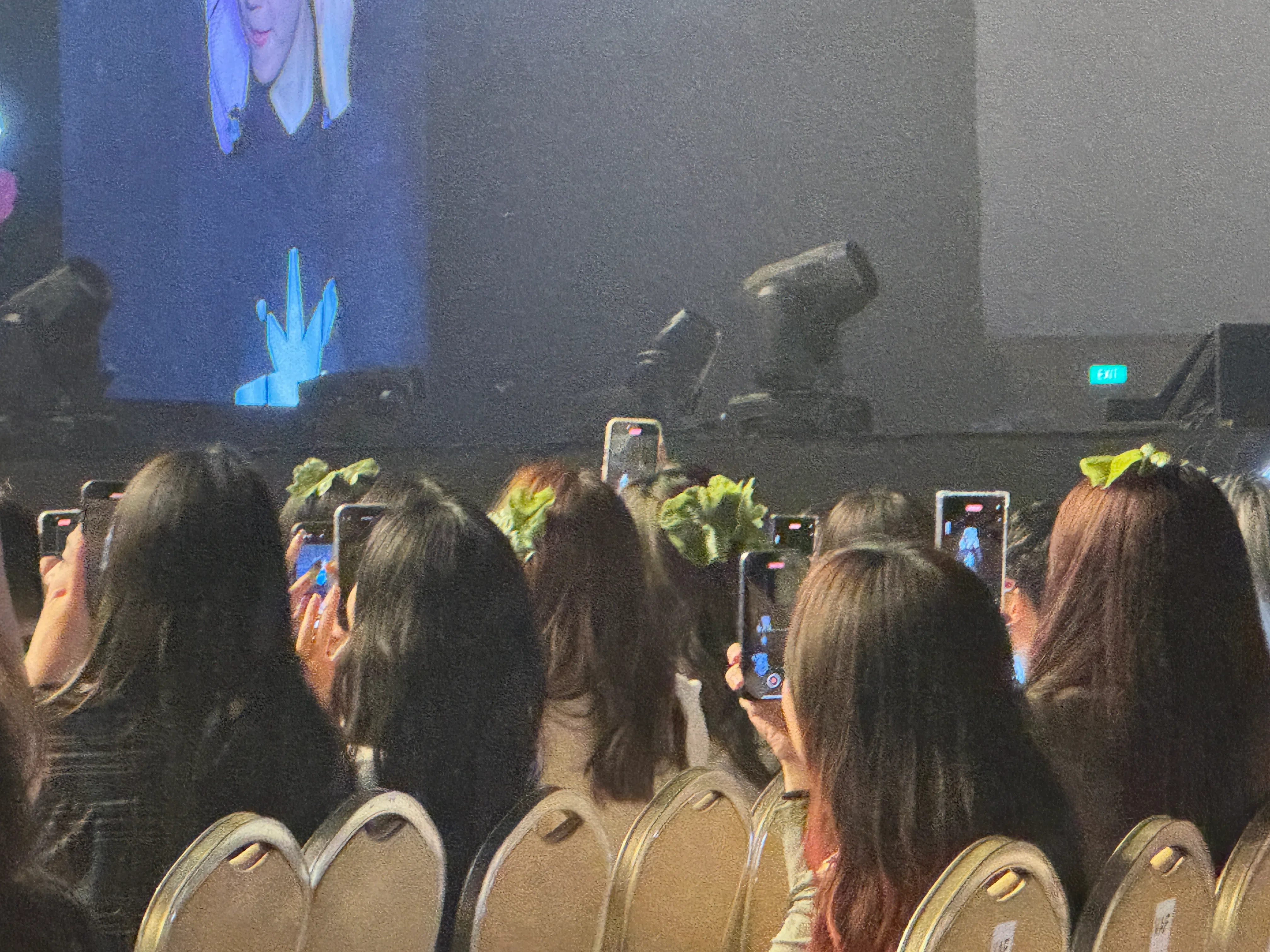 记者发现，演唱会的观众席放眼望去如同一片“生菜田”，许多粉丝在头发上夹着一片生菜叶。（蓝靖仪摄）