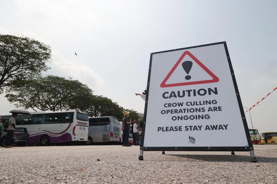 为安全起见，公园局在乌鸦射杀现场拉起封锁线，并设置告示牌，避免公众走入射击范围。（李冠卫摄）