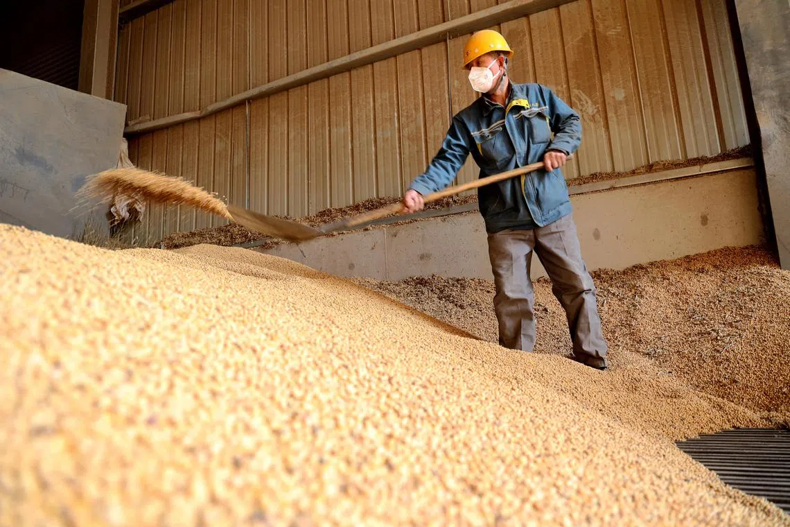 中国反击美国对等关税分析：北京以战促和中美最终将谈判| 联合早报