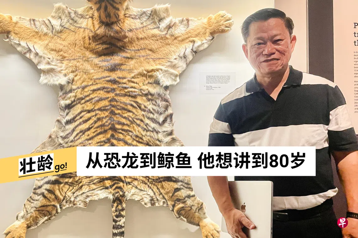 68岁义工中文导览化石标本被他说“活”了| 联合早报