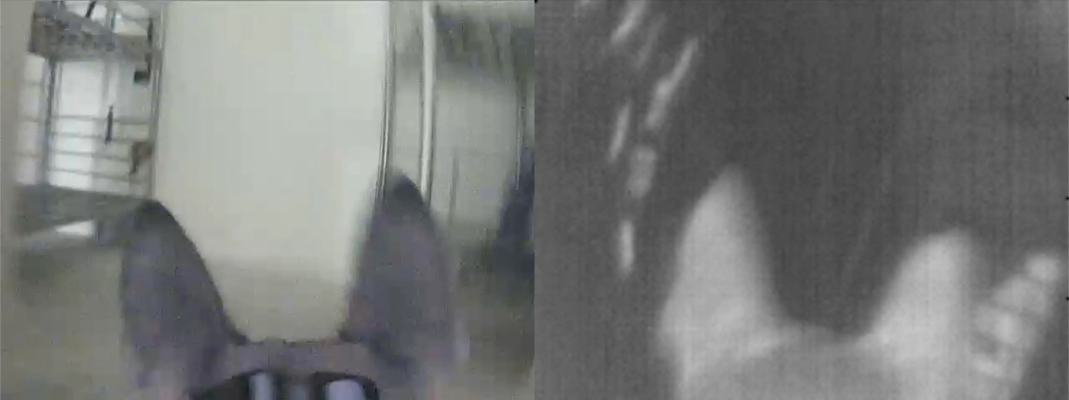 犬背负式摄像系统配备热成像功能，可侦测肉眼无法看到的人体热源，即使目标躲藏在狭小空间、障碍物后方或黑暗环境中，也有助于警员迅速锁定位置。（新加坡警察部队提供）