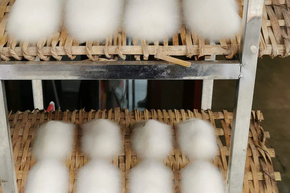 像棉花糖的发酵毛豆腐。（作者提供）