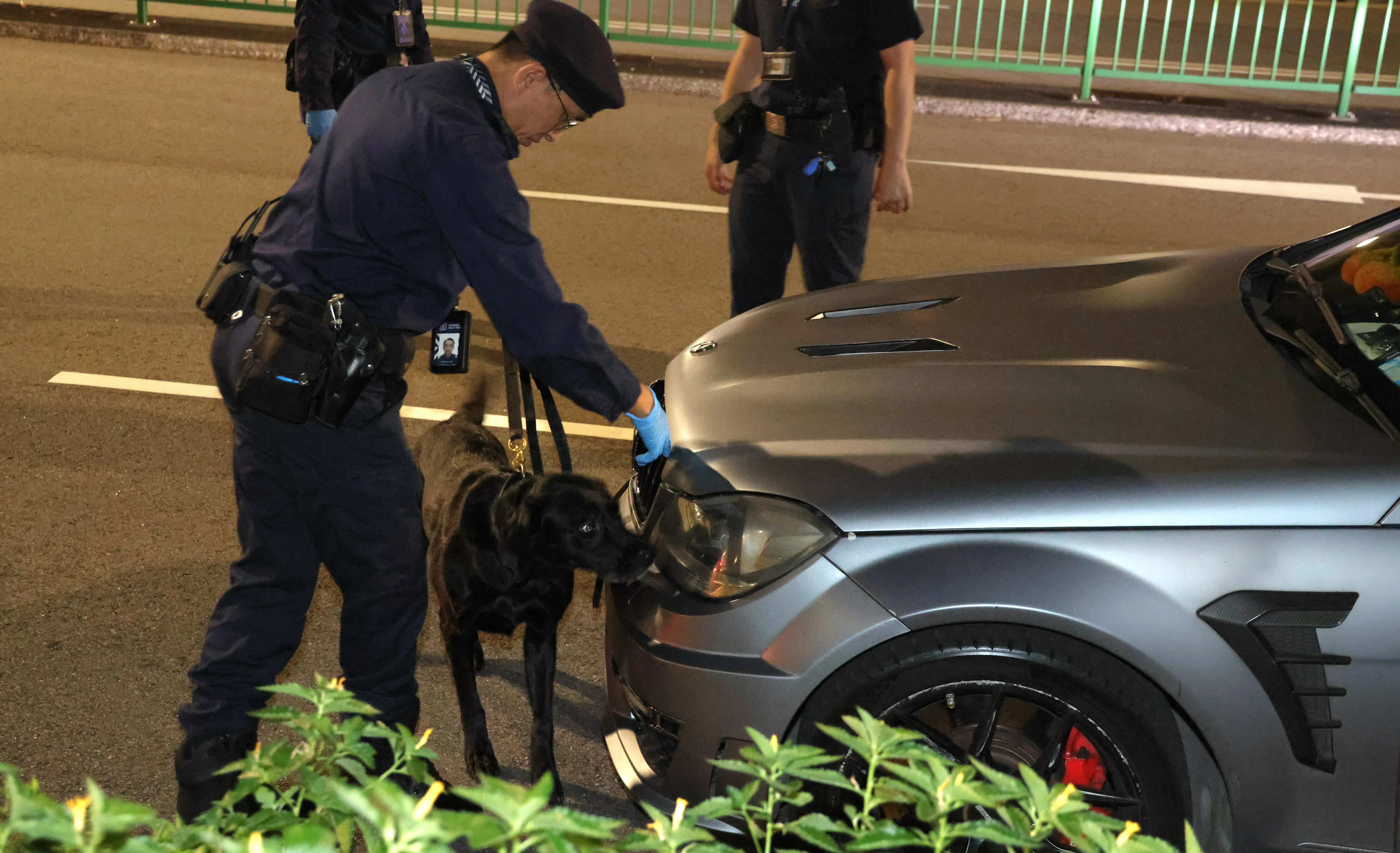 警方出动警犬，把涉案马赛地查了个底朝天。（梁麒麟摄）