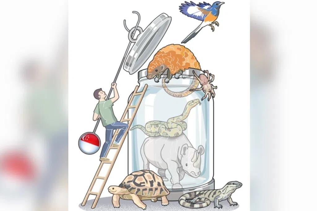 实况报道：跨国协作 科技赋能 打开大自然生命线 封堵动植物走私路