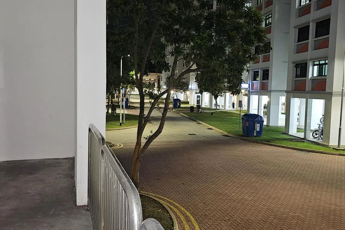 记者星期一（3月17日）再度走访时，发现临时搭建的“小房间”已被清空。（蔡振鸿摄）