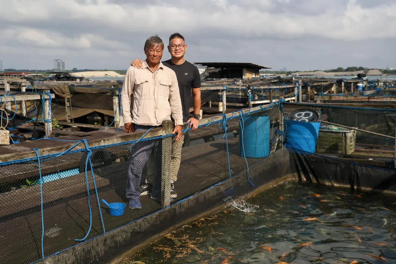 杨钦贵（左）和杨升强去年开始养殖新洲非鱼，目前的生产力为每年35公吨。（卓祾祎摄）