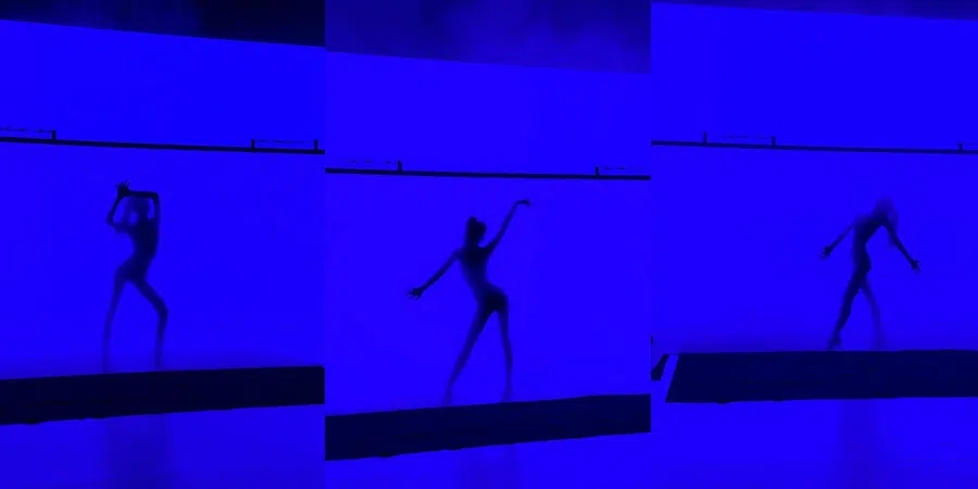 Lisa在疯马秀的演出比起其他舞者保守得多。（取自艺人Instagram）