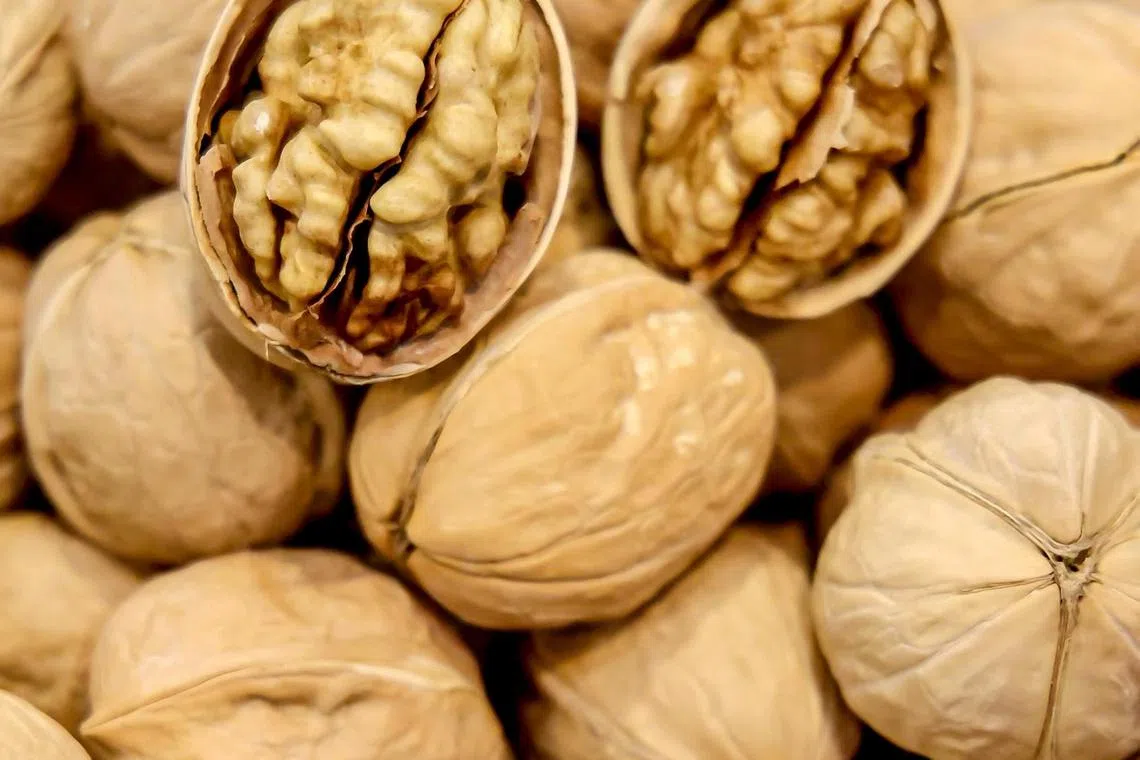 2025中国风味风情海外展会展示多款优质新疆农产品，如和田薄皮核桃。（主办方提供）