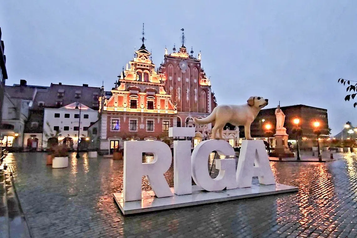 里加市政厅广场在废墟中重焕生机。（客桑摄）