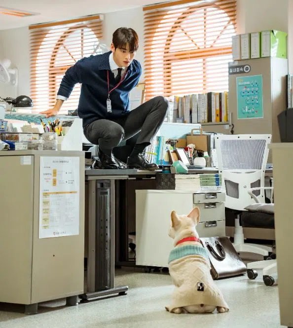 车银优在Viu原创剧《犬系恋人》扮演怕狗男孩。（Viu提供）