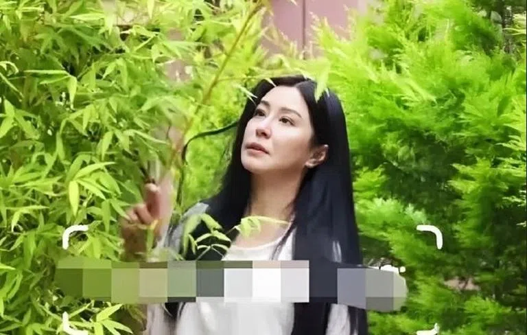 有网民在寺庙巧遇王祖贤，指她笑容僵硬。（互联网）