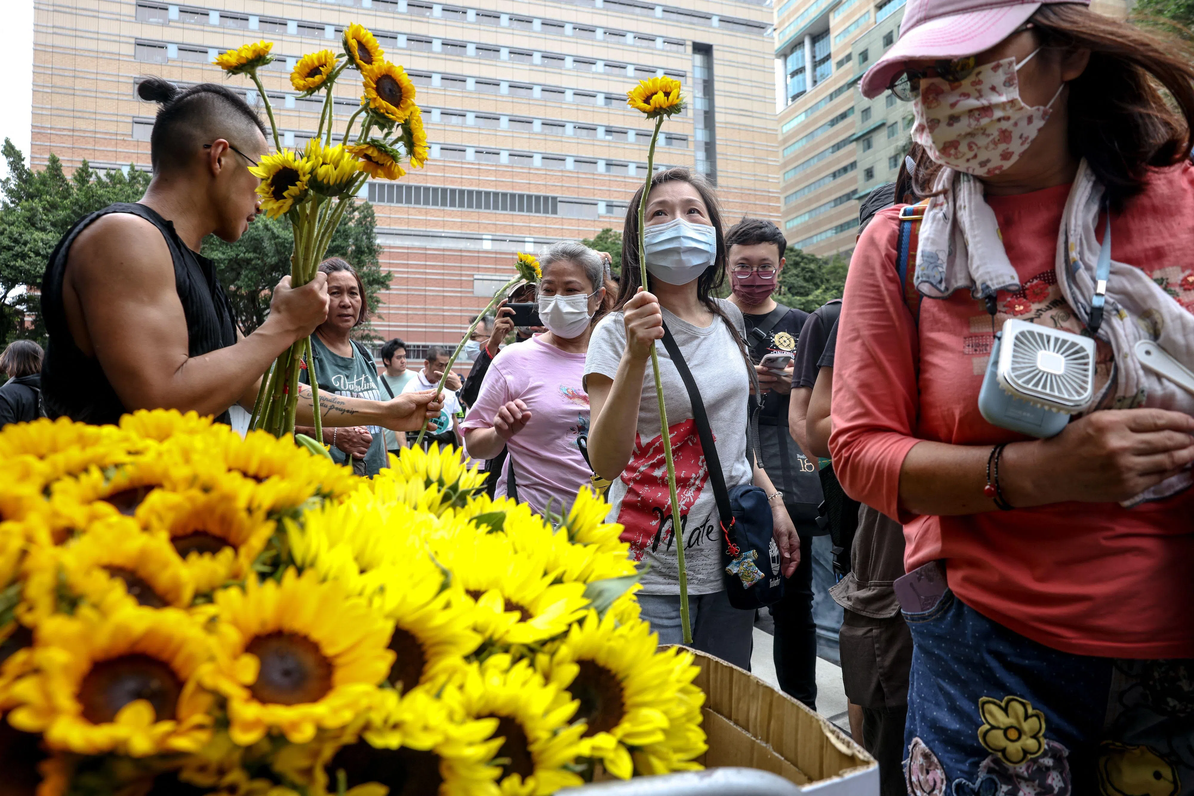 民进党支持者在立法院外的抗议现场向示威民众分发向日葵。（法新社）