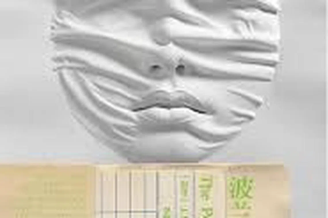 《波兰人》是库切第二本以西班牙语首发的作品。（互联网）